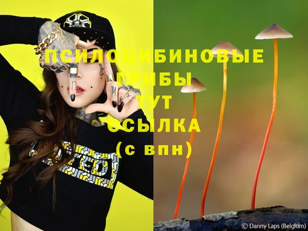 гидропоника Краснослободск