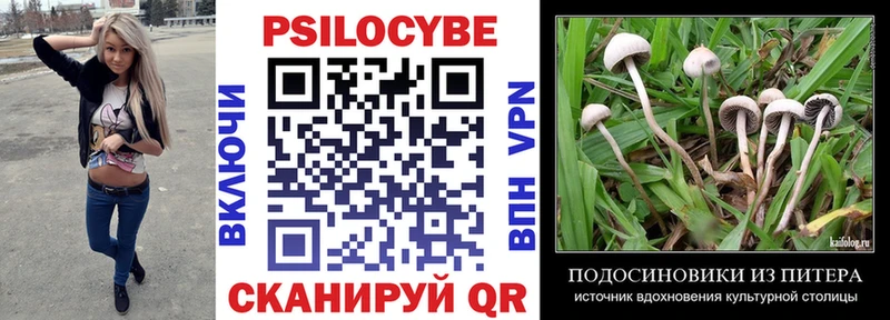 Псилоцибиновые грибы мухоморы  Купить закладки  Шлиссельбург 